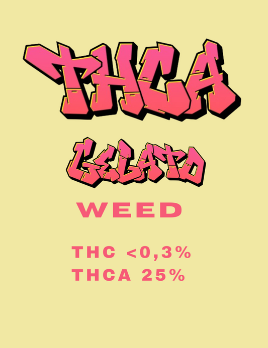 THCA Weed Gelato 25% Premium CBD-Blüten mit Gelato Cali-Terpenen von Hemp Express
