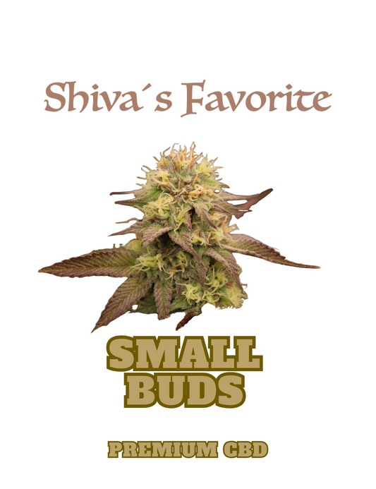 SHIVA'S FAVORITE Premium CBD Blüten Small Buds